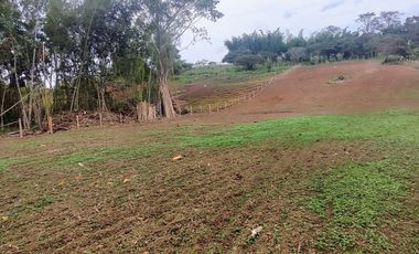 lote en venta en pavas. Cod V16937