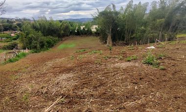 lote en venta en pavas. Cod V16937