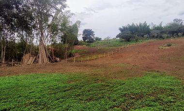 lote en venta en pavas. Cod V16937