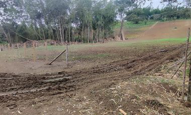 lote en venta en pavas. Cod V16937