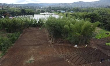 lote en venta en pavas. Cod V16937