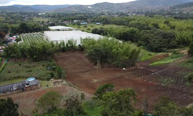 lote en venta en pavas. Cod V16937