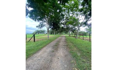 Proyecto Campestre -Lotes de Terreno