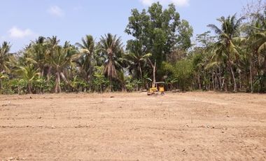 Tanah Dekat Alun-Alun Kajen Pekalongan, SHM Per Unit, Harga 700 Rb-an