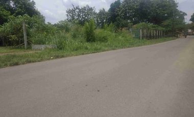 Spesial! Bayar Tunai Kapling Ciseeng Diskon Khusus