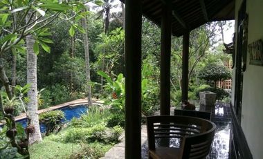 sale villa design balinese and modern in tabanan bali