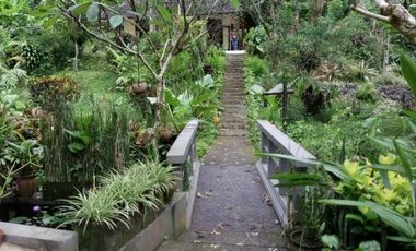 sale villa design balinese and modern in tabanan bali