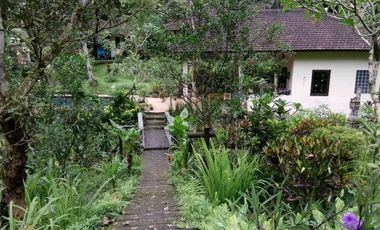 sale villa design balinese and modern in tabanan bali