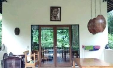 sale villa design balinese and modern in tabanan bali