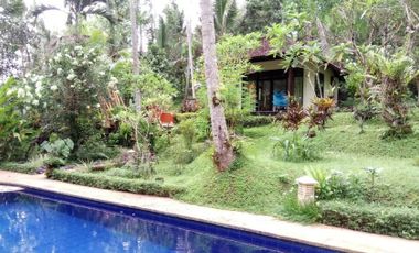 sale villa design balinese and modern in tabanan bali