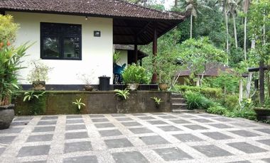 sale villa design balinese and modern in tabanan bali