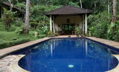 sale villa design balinese and modern in tabanan bali