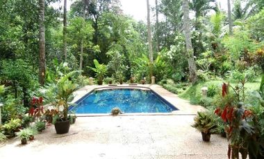 sale villa design balinese and modern in tabanan bali