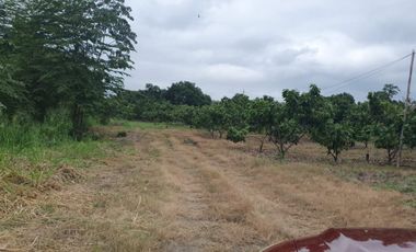 Terreno en Venta Vía Durán