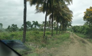 Terreno en Venta Vía Durán