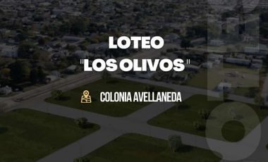 NUEVO LOTEO  âLOS OLIVOSâ EN EL MEJOR PUNTO DE COLONIA AVELLANEDA
