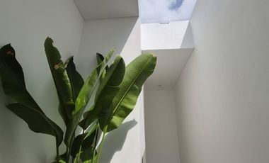 Leasehold - A modern townhouse takes simpliciy and serenity in Seminyak, Bali