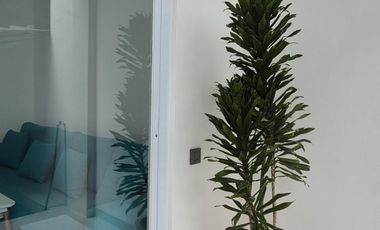 Leasehold - A modern townhouse takes simpliciy and serenity in Seminyak, Bali