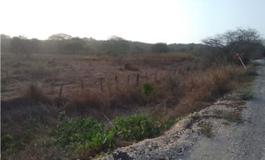Venta de finca en Arjona de 1.000 hectareas en Arjona Bolivar