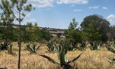 ¡VENTA DE TERRENO ATENCION INVERSIONISTAS  AGROPECUARIOS  !