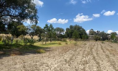 ¡VENTA DE TERRENO ATENCION INVERSIONISTAS  AGROPECUARIOS  !