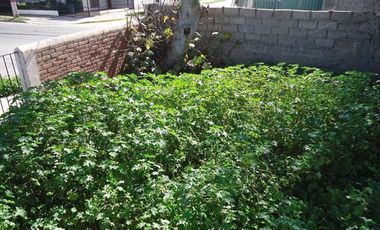 TERRENO SECTOR SEMINARIO CON PAMPA BAJA LA SERENA