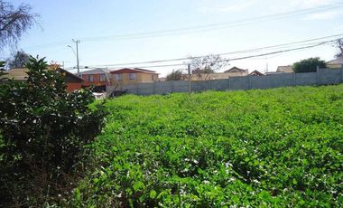 TERRENO SECTOR SEMINARIO CON PAMPA BAJA LA SERENA