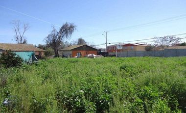 TERRENO SECTOR SEMINARIO CON PAMPA BAJA LA SERENA