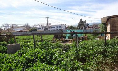 TERRENO SECTOR SEMINARIO CON PAMPA BAJA LA SERENA