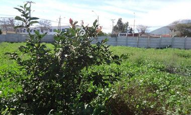 TERRENO SECTOR SEMINARIO CON PAMPA BAJA LA SERENA