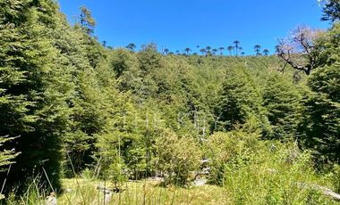 Terreno Construccion  en Venta en Molulco - Melipeuco