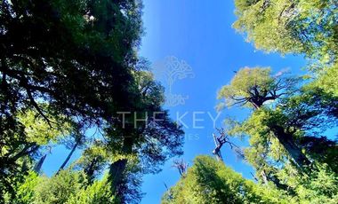 Terreno Construccion  en Venta en Molulco - Melipeuco