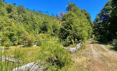 Terreno Construccion  en Venta en Molulco - Melipeuco