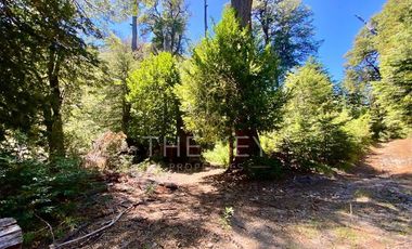 Terreno Construccion  en Venta en Molulco - Melipeuco