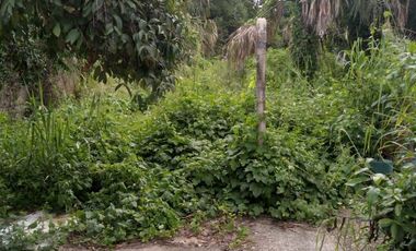 Casa Colonial en Venta, Valladolid, Pueblo Mágico.