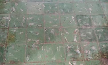 Casa Colonial en Venta, Valladolid, Pueblo Mágico.