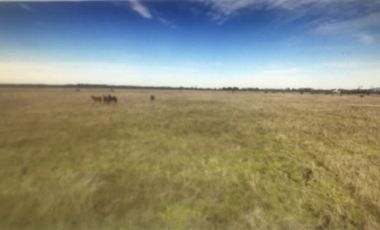 Agrícola en Venta en Retiro