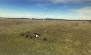 Agrícola en Venta en Retiro