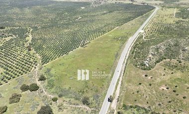 9.27  HA. y 1100 METROS DE CARRETERA A LA ENTRADA A SASSI DEL VALLE