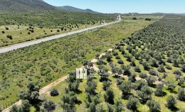 9.27  HA. y 1100 METROS DE CARRETERA A LA ENTRADA A SASSI DEL VALLE