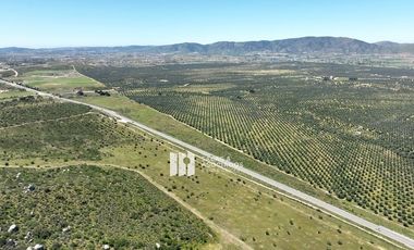 9.27  HA. y 1100 METROS DE CARRETERA A LA ENTRADA A SASSI DEL VALLE