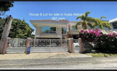 FOR SALE - House and Lot in Ayala Alabang, Muntinlupa City