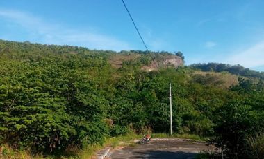 150 SQM Residential Lot for Sale in Greenville Heights Consolacion Cebu with view