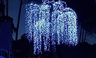 En Cariló | Triplex