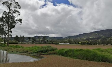 finca en venta en vereda nescuata. Cod V3054