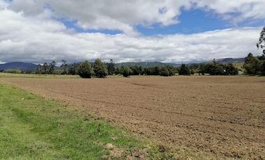 finca en venta en vereda nescuata. Cod V3054