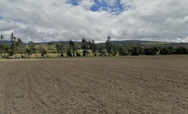 finca en venta en vereda nescuata. Cod V3054