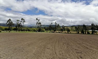 finca en venta en vereda nescuata. Cod V3054
