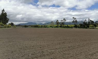 finca en venta en vereda nescuata. Cod V3054