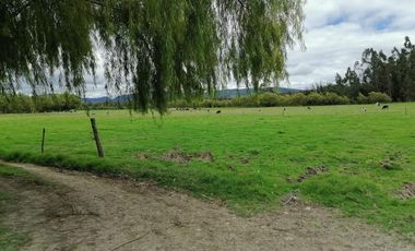 finca en venta en vereda nescuata. Cod V3054